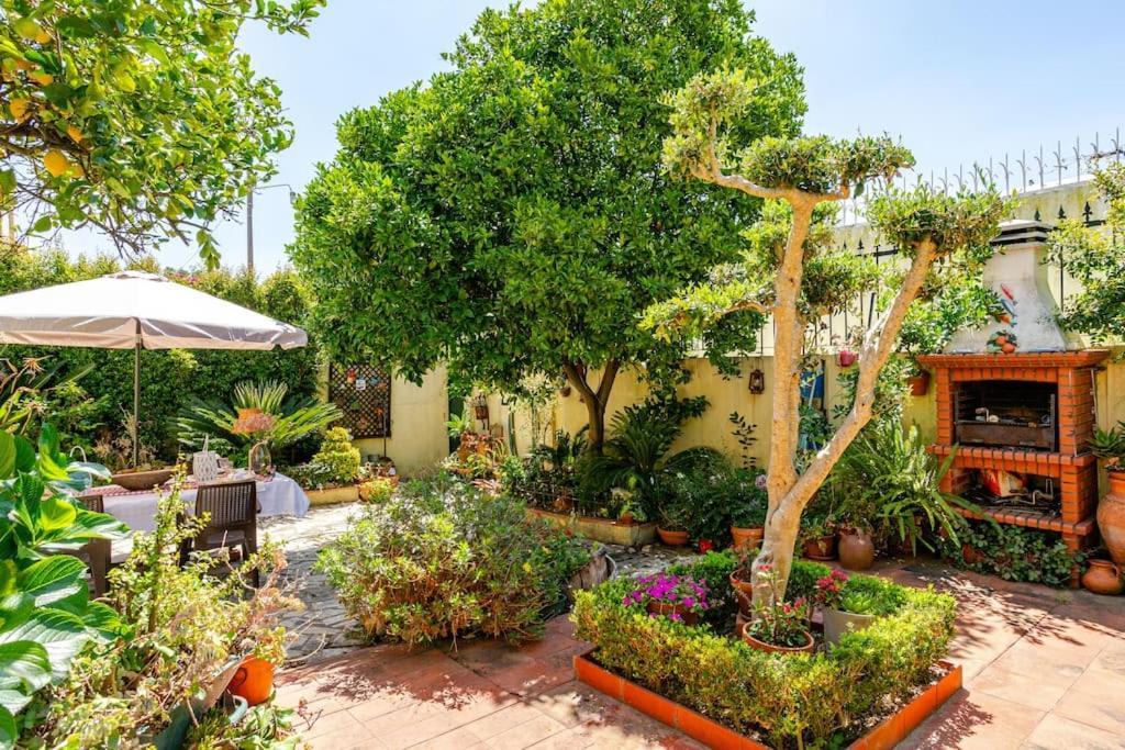 Studio & Garden Lisboa Exterior foto